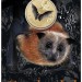 Австралия, 1 доллар 2011 (UNC, бронза) Седая летучая лисица