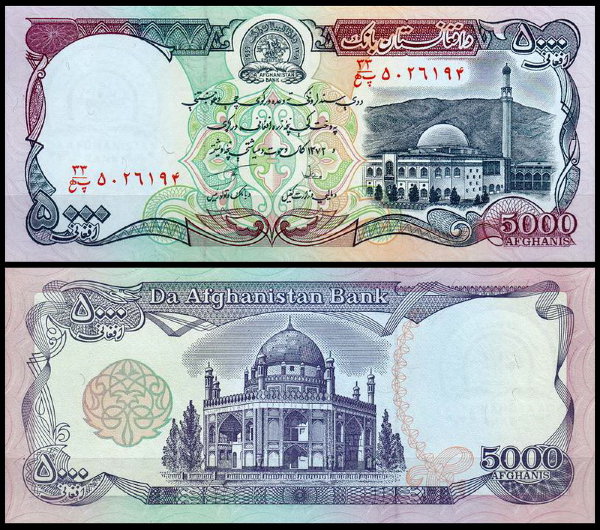 Афганистан 5000 афгани 1993 (UNC Pick 62)