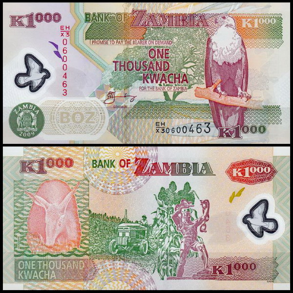 Замбия 1000 квача 2003-2012 (UNC Pick 44)