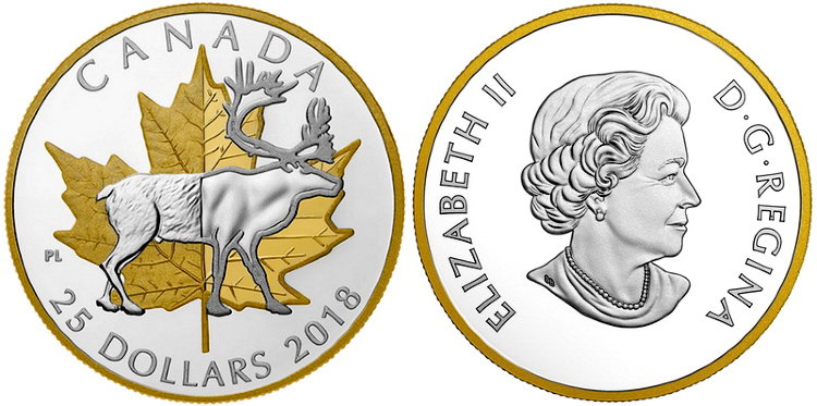 25 канадских долларов монета. 25 долларов 2016 г. 25 канадских долларов. монеты канада 25 долларов олимпиада ванкувер 2008. серебрянный канадский доллар.