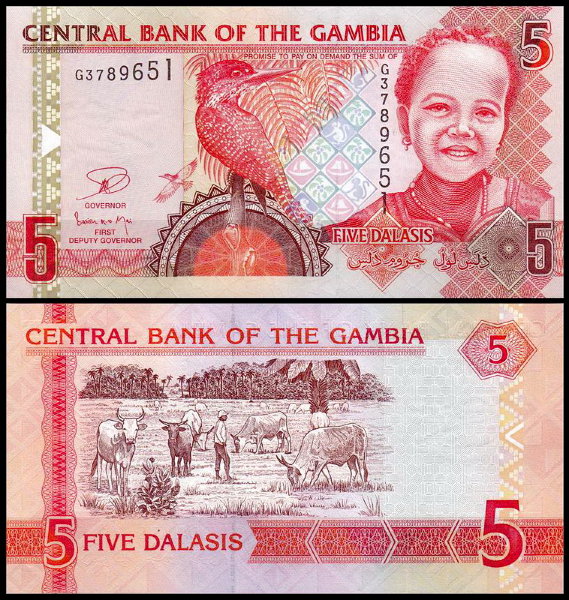 Гамбия 5 даласи 2013 (UNC Pick 25b)