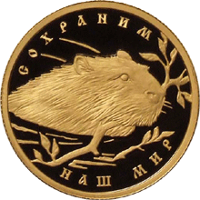 50 рублей 2008 г, Речной бобр, Золото ПРУФ