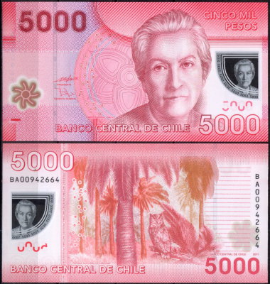 Чили 5000 песо 2009-2018 (UNC Pick 163)