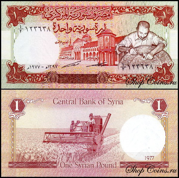 Сирия 1 фунт 1977 (UNC Pick 99)