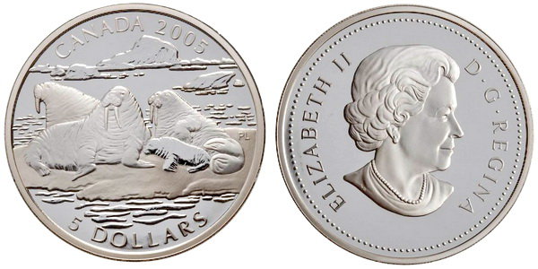 Канада, 5 долларов 2005 год, Атлантический морж, ПРУФ