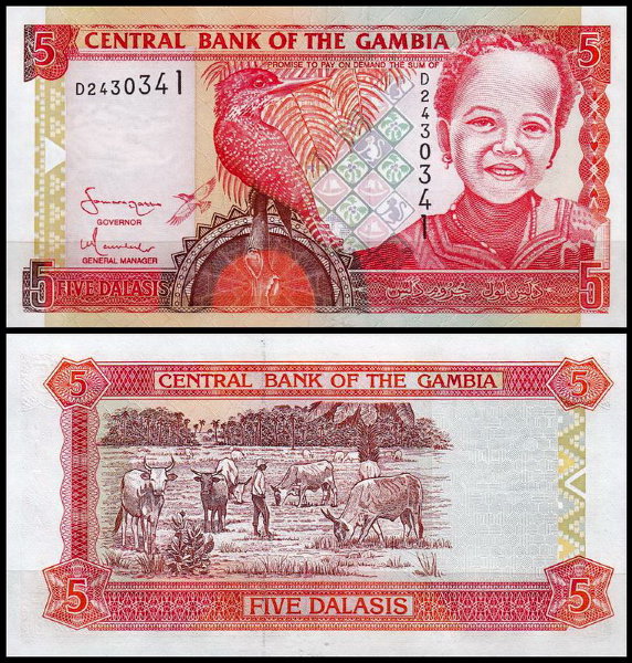 Гамбия 5 даласи 2001 (UNC Pick 20)