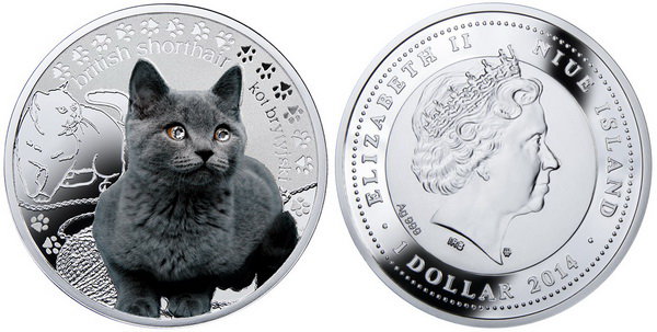 Ниуэ, 1 доллар 2014 год, Британская короткошерстная кошка, ПРУФ