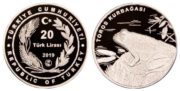 Турция, 20 лир 2019 год, легушка, ПРУФ