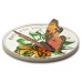 Камерун, 1000 франков 2011 год, Бабочка Papillons Exotique 3D